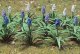 Grape Hyacinth (Muscari) pkg(32), HO, JTT Miniature Tree 95598