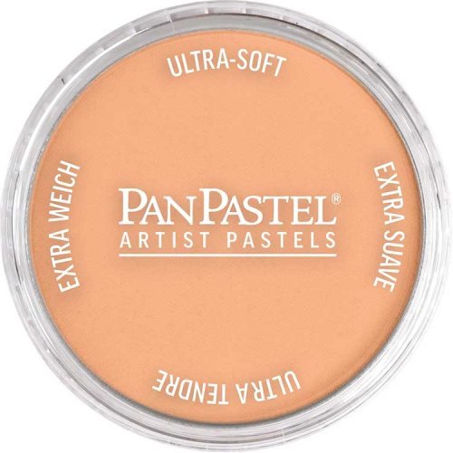 Panpastel Color Powder -- Burnt Sienna Light, All Scales, Pan Pastel 27407
