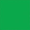 Paint PLA Enamel Flourescent Colors - 1/4oz 7.4mL -- Green, All Scales, Testor Corp 1174