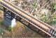 Sherwood`s Bridge -- Laser-Cut Kit - 9` 22.9cm Span, 2 Abutments, 1 Pier, N, The N Scale Architect 10055