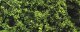 Fine Leaf Foliage(TM) - 75 Cu. In. 1.2 Cu. m. -- Medium Green, All Scales, Woodland Scenics 1131