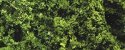 Fine Leaf Foliage(TM) - 75 Cu. In. 1.2 Cu. m. -- Medium Green, All Scales, Woodland Scenics 1131