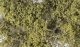 Fine Leaf Foliage(TM) - 75 Cu. In. 1.2 Cu. m. -- Olive Green, All Scales, Woodland Scenics 1133