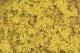Coarse Turf Shaker - 32oz 907g -- Fall Yellow, All Scales, Woodland Scenics 1353