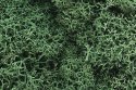Lichen - 1.5qts 1.4L -- Light Green, All Scales, Woodland Scenics 162