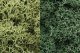 Lichen - 48oz 2.84L -- Light Green Mix, All Scales, Woodland Scenics 167