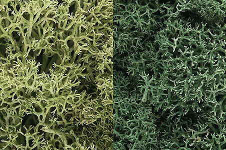 Lichen - 48oz 2.84L -- Light Green Mix, All Scales, Woodland Scenics 167