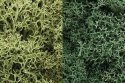 Lichen - 48oz 2.84L -- Light Green Mix, All Scales, Woodland Scenics 167