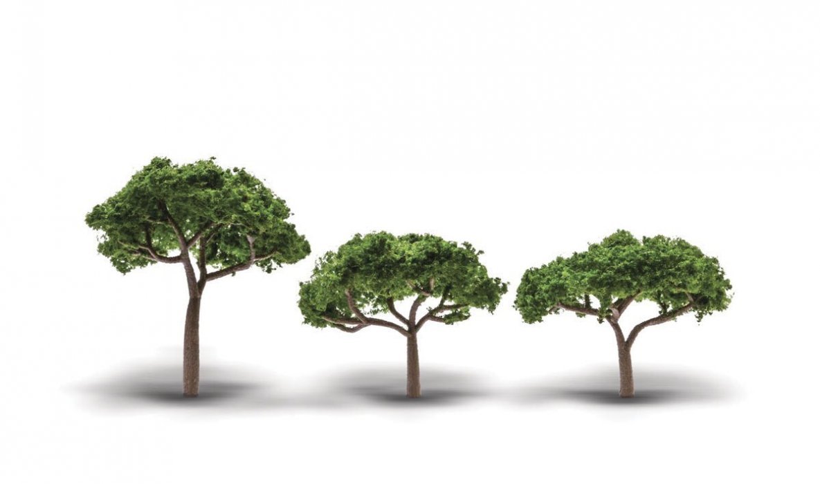 Coniferous Canopy Trees - Woodland Classics(R) -- 2-5/16 to 3-5/16′ 5.8 to 8.4cm Tall p, All Scales, Woodland Scenics 3555