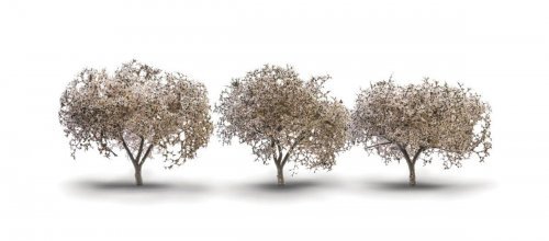 Blossoming Cherry Trees - Woodland Classics(R) -- 1-3/4 to 2-1/4′ 4-7/16 to 5.7cm Tall , All Scales, Woodland Scenics 3594