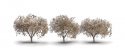 Blossoming Cherry Trees - Woodland Classics(R) -- 1-3/4 to 2-1/4′ 4-7/16 to 5.7cm Tall , All Scales, Woodland Scenics 3594