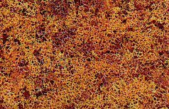 Foliage - 90.7 Square Inches 585 Square cm -- Late Fall Colors, All Scales, Woodland Scenics 56