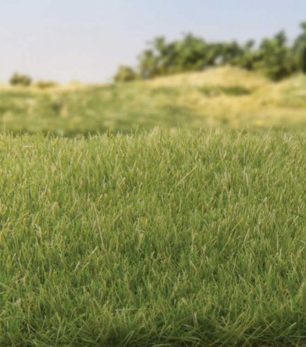Static Grass 5/32′ 4mm Tall - All Game Terrain -- Medium Green, All Scales, Woodland Scenics 6572