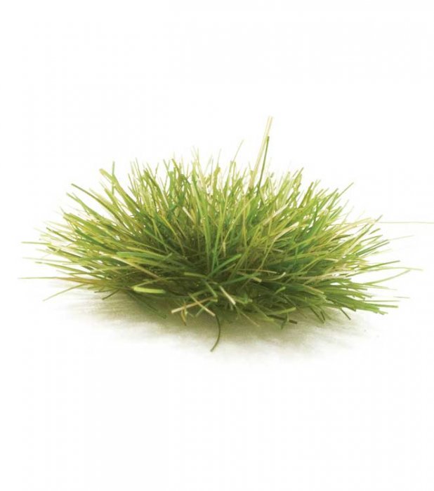 Peel `n` Plant Tufts - All Game Terrain -- Dark Green, All Scales, Woodland Scenics 6627