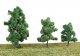 Summer Trees pkg(10) -- 3-3/8 to 5-1/2′ 8 to 14cm (Includes Pin Base), All Scales, Walthers SceneMaster 1184