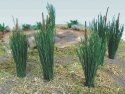 Cattails -- 3/4′ 1.9cm pkg(24), HO, Bachmann Industries 32505