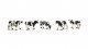 Cows -- Unpainted pkg(5), HO, All Scale Miniatures 870977