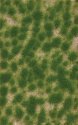 Grass Tuft Sheet -- Long Spring Tufts 3/16` .4cm Tall, 5-7/16 x 3-7/16` 13.8 x 8.8cm, All Scales, Busch Gmbh & Co Kg 3516