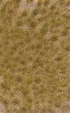 Grass Tuft Sheet -- Long Fall Tufts 3/16` .4cm Tall, 5-7/16 x 3-7/16` 13.8 x 8.8cm, All Scales, Busch Gmbh & Co Kg 3519