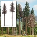 Dead Spruce Trees -- 18 & 19cm Tall pkg(2), All Scales, Busch Gmbh & Co Kg 6168