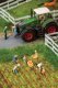 On the Strawberry Field -- pkg(6), HO, Faller Gmbh 151659