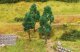 Beech Trees -- pkg(4), All Scales, Faller Gmbh 181377