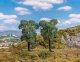 Orchard Trees -- pkg(2), HO, Faller Gmbh 181802