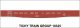 Railroad Decal Set -- Wellsville, Addison & Galeton 52′ Steel Gondola with Fishbelly Sill, HO, Tichy Train Group 10325