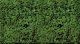 Foliage Pad - 11 x 5-1/2′ 27.9 x 14cm -- Dark Green, All Scales, Heki/Mini Forest 1552
