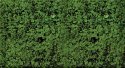 Foliage Pad - 11 x 5-1/2′ 27.9 x 14cm -- Dark Green, All Scales, Heki/Mini Forest 1552