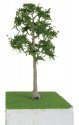 Cypress Trees - Pro Elite -- 8′ 20.3cm, O, JTT Miniature Tree 92416