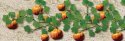 Pumpkins -- 1-3/8′ 3.5cm Long pkg(6), HO, JTT Miniature Tree 95531