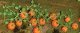 Pumpkins -- 1-3/8′ 3.5cm Long pkg(6), HO, JTT Miniature Tree 95531
