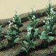 Tobacoo Plants pkg(10), O, JTT Miniature Tree 95587