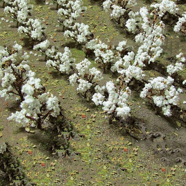 Cotton Plants -- pkg(24), O, JTT Miniature Tree 95591