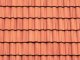 Patterned Plastic Sheet 2-Pack -- Clay Tile Roof 7-1/2 x 12′ 19.1 x 30.5cm, O, JTT Miniature Tree 97466