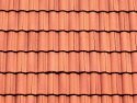 Patterned Plastic Sheet 2-Pack -- Clay Tile Roof 7-1/2 x 12′ 19.1 x 30.5cm, O, JTT Miniature Tree 97466