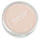 Panpastel Color Powder -- Turquoise Tint, All Scales, Pan Pastel 25808