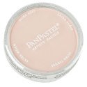 Panpastel Color Powder -- Turquoise Tint, All Scales, Pan Pastel 25808