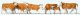 Cows -- Brown, White pkg(6), HO, Preiser Kg 10146