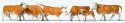 Cows -- Brown, White pkg(6), HO, Preiser Kg 10146