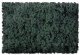 Flock & Turf - Scenic Foams & Ground Textures - Green Tones - 32 Ounces -- Hazy Green - Co, All Scales, Scenic Express 818B
