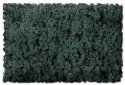 Flock & Turf - Scenic Foams & Ground Textures - Green Tones - 32 Ounces -- Hazy Green - Co, All Scales, Scenic Express 818B