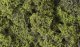 Fine Leaf Foliage(TM) - 75 Cu. In. 1.2 Cu. m. -- Light Green, All Scales, Woodland Scenics 1132