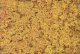 Coarse Turf Shaker - 32oz 907g -- Fall Orange, All Scales, Woodland Scenics 1354