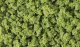 Bushes - Shaker - 32oz 907g -- Light Green, All Scales, Woodland Scenics 1645