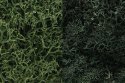 Lichen - 48oz 2.84L -- Dark Green Mix, All Scales, Woodland Scenics 168