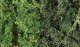 Lichen - 48oz 2.84L -- Dark Green Mix, All Scales, Woodland Scenics 168