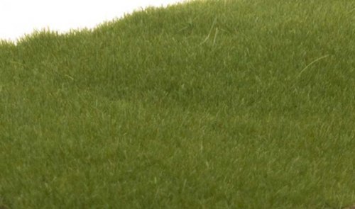 Static Grass - Field System -- Dark Green Fibers - 1/16′ 2mm, All Scales, Woodland Scenics 613