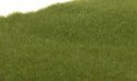 Static Grass - Field System -- Dark Green Fibers - 1/16′ 2mm, All Scales, Woodland Scenics 613